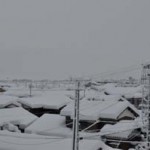 雪に心躍って、そして一杯。