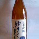 大阪ダブル選挙