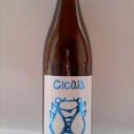 ｃｉｃａｌａ（チカーラ）