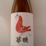 華鳩（視力について-2）