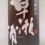早瀬浦 山廃純米酒 ( 人事部失格　）