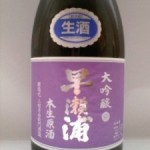 早瀬浦 本生原酒 大吟醸　（罪なお酒）