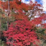 保養所もしくは監獄？