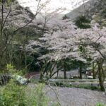 「いせや」に「帝国ホテル」